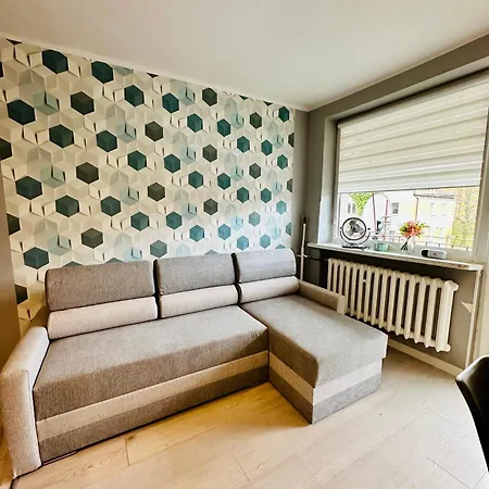 Проживание в семье Goscinne *