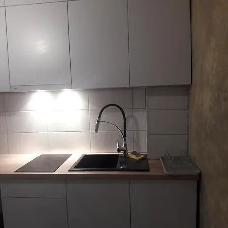 Проживание в семье Goscinne *