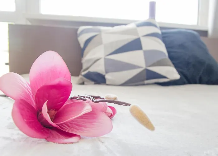 Проживание в семье Goscinne